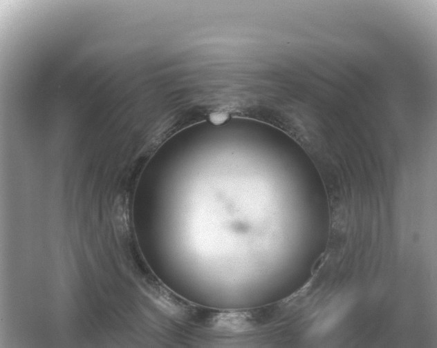 X0000062140179200512121251