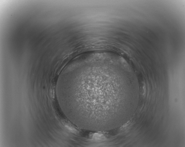 X0000062140180200512121251