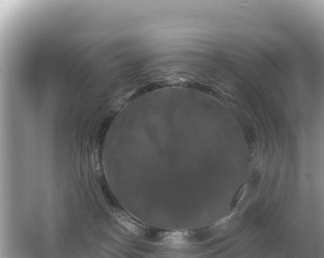 X0000062140182200512121251