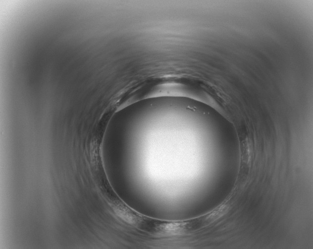 X0000062140184200512121251