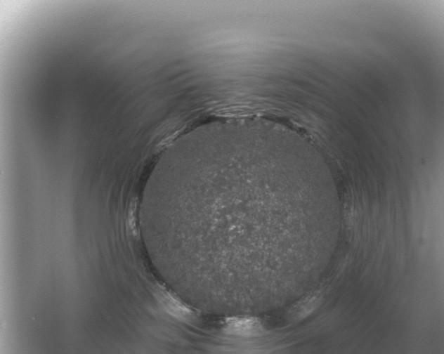 X0000062140185200512121251