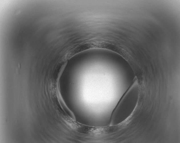 X0000062140186200512121251