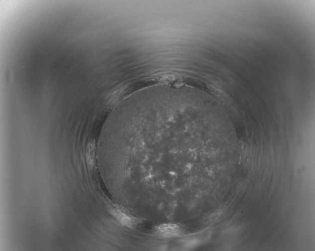 X0000062140189200512121251