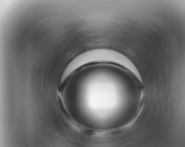 X0000062140190200512121251