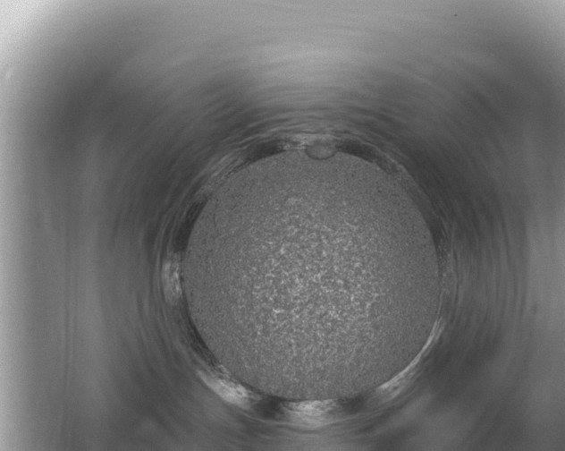 X0000062140191200512121251