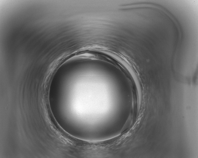 X0000062140193200512121250