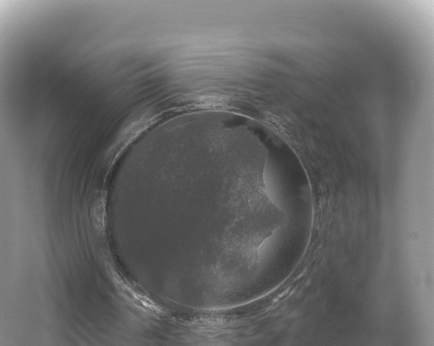 X0000062140194200512121250