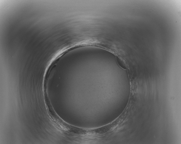 X0000062140196200512121250