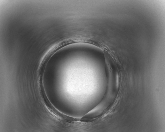 X0000062140197200512121250