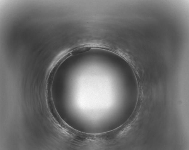 X0000062140199200512121250