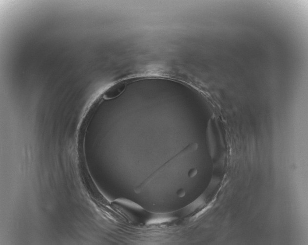 X0000062140200200512121250