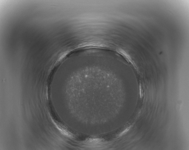 X0000062140205200512121250