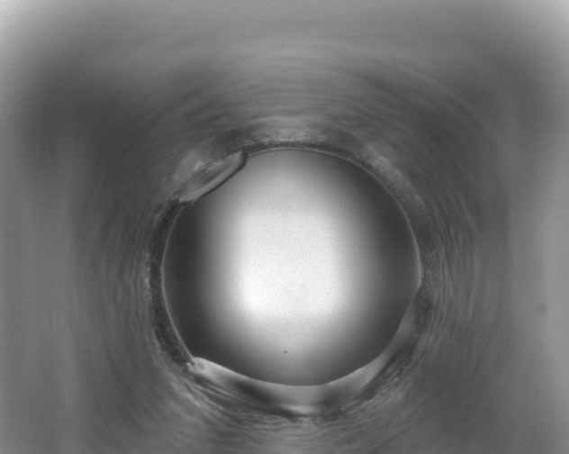 X0000062140207200512121250