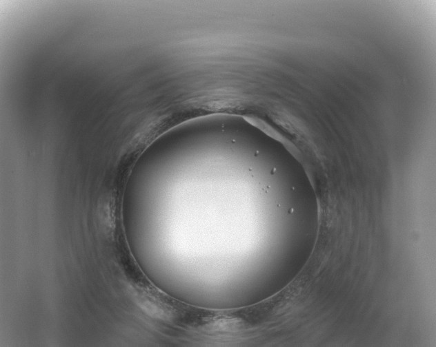 X0000062140210200512121250