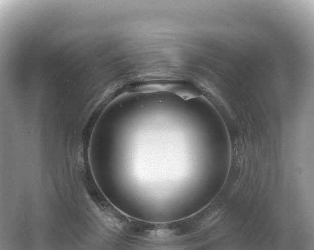 X0000062140212200512121250