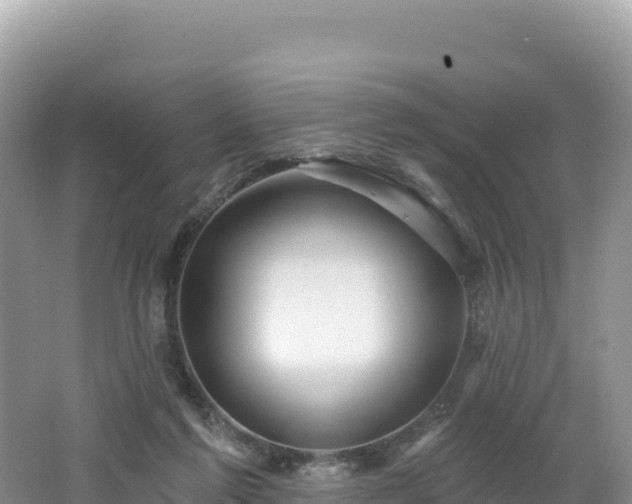 X0000062140213200512121250