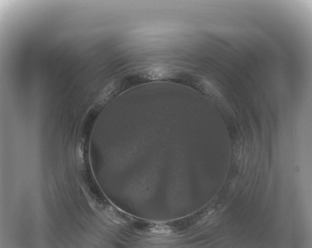 X0000062140214200512121250