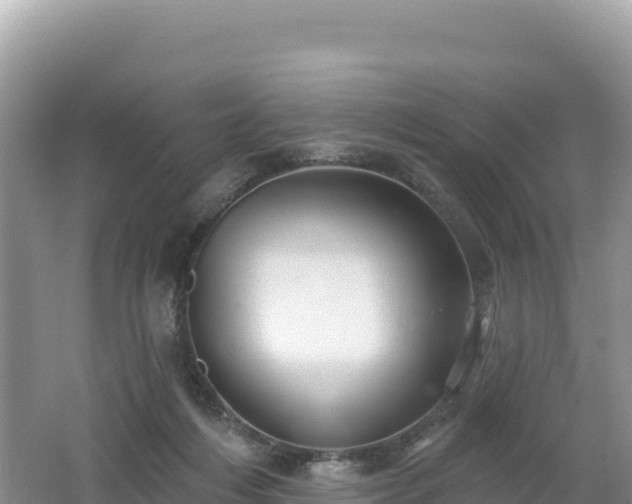 X0000062140216200512121250