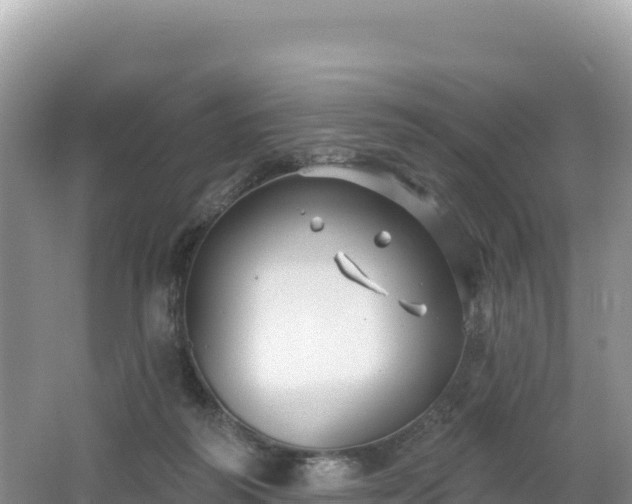 X0000062140218200512121250