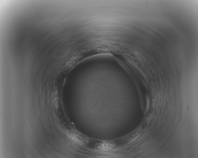 X0000062140223200512121250