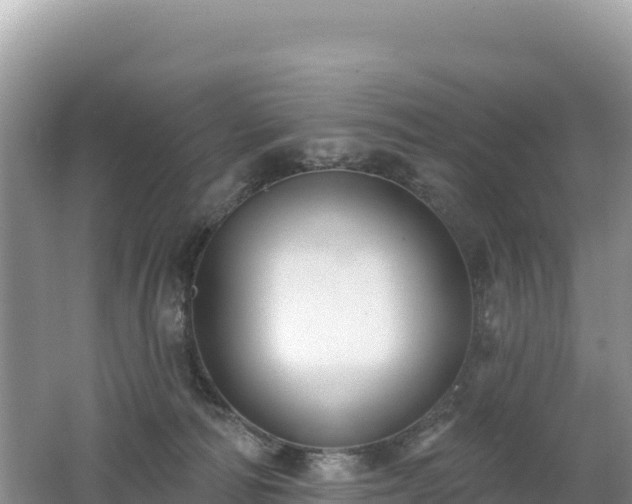 X0000062140226200512121250