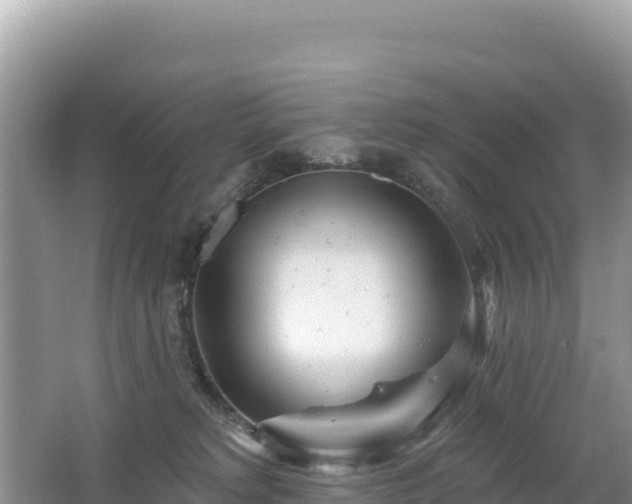 X0000062140229200512121250