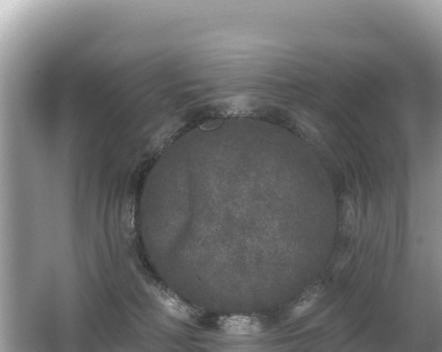 X0000062140230200512121250