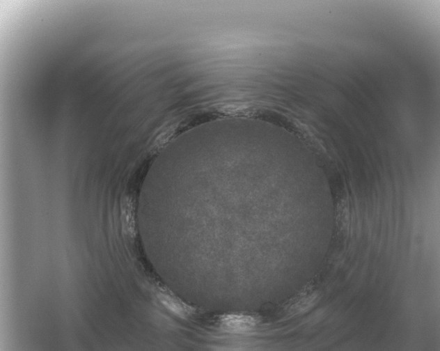 X0000062140234200512121250