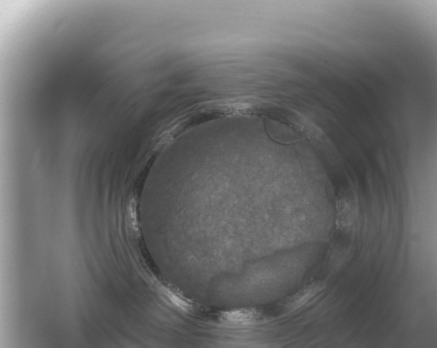 X0000062140238200512121249