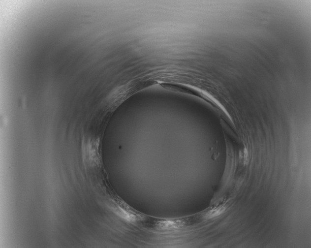 X0000062140239200512121249