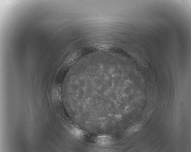 X0000062140240200512121249