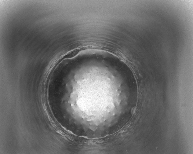 X0000062140241200512121249