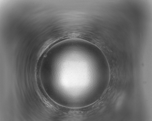 X0000062140242200512121249