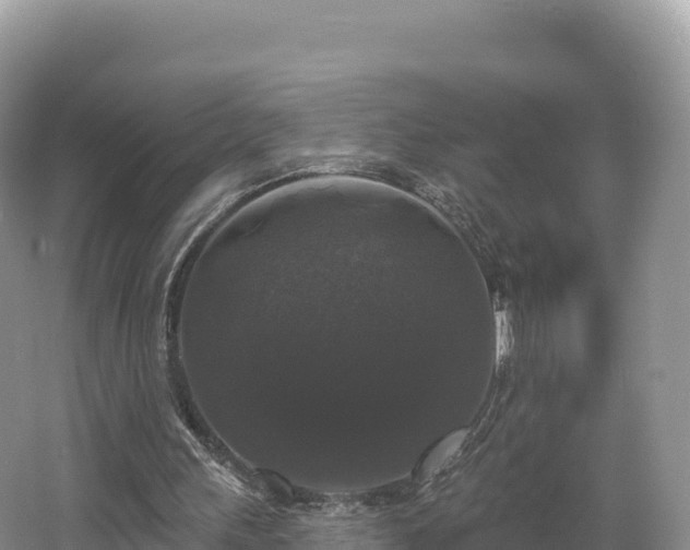 X0000062140243200512121249