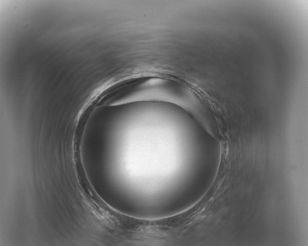 X0000062140244200512121249