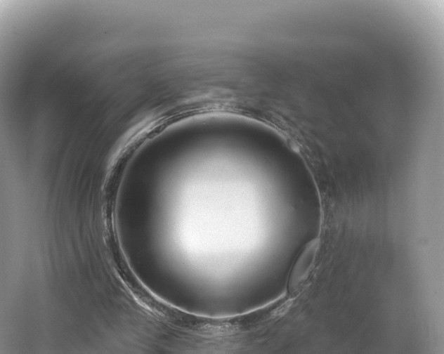 X0000062140245200512121249