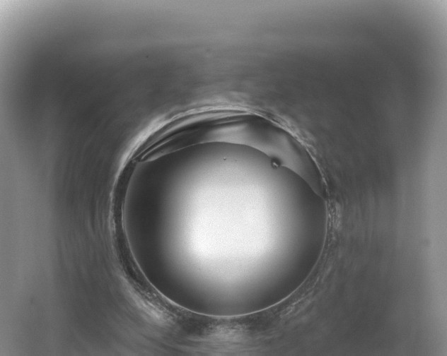 X0000062140248200512121249