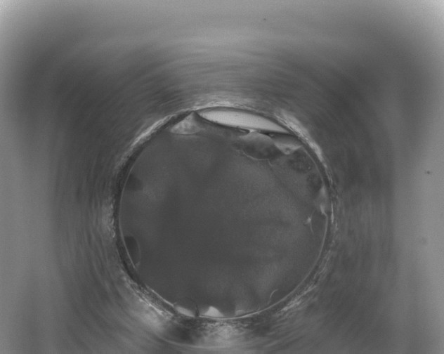 X0000062140249200512121249