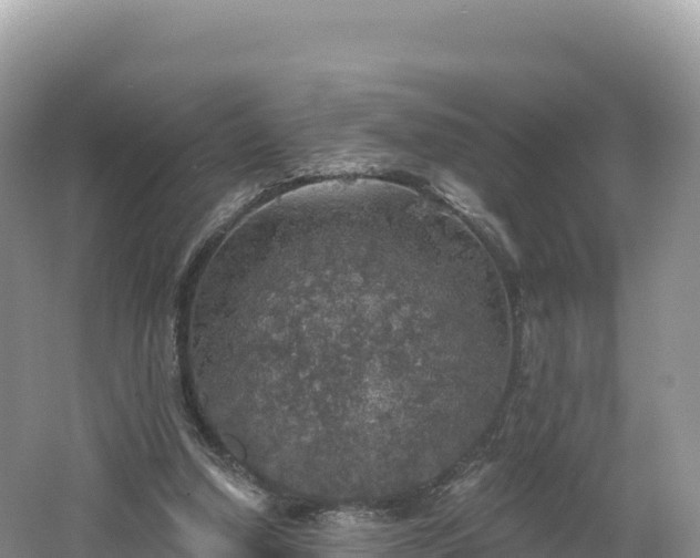 X0000062140250200512121249