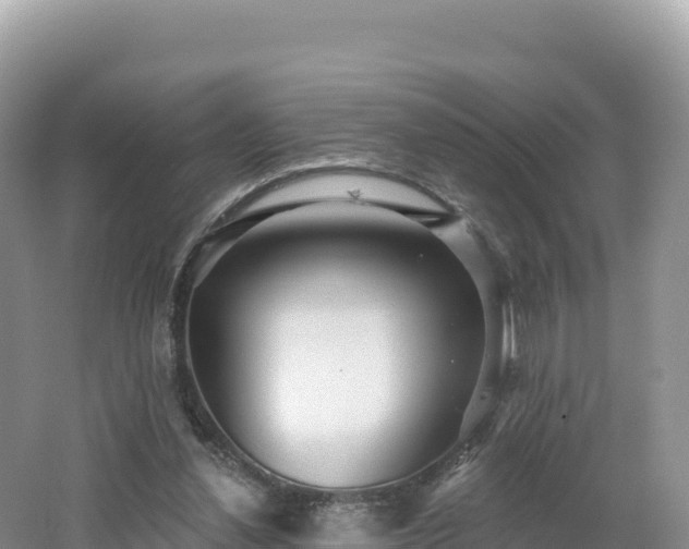 X0000062140252200512121249