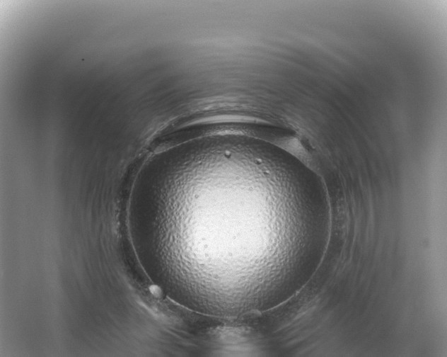 X0000062140255200512121249