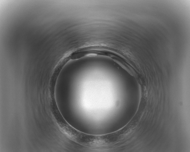 X0000062140256200512121249