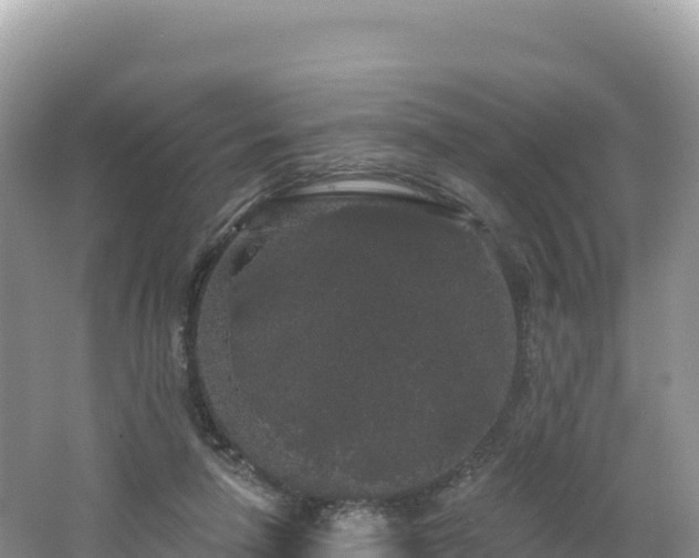 X0000062140258200512121249