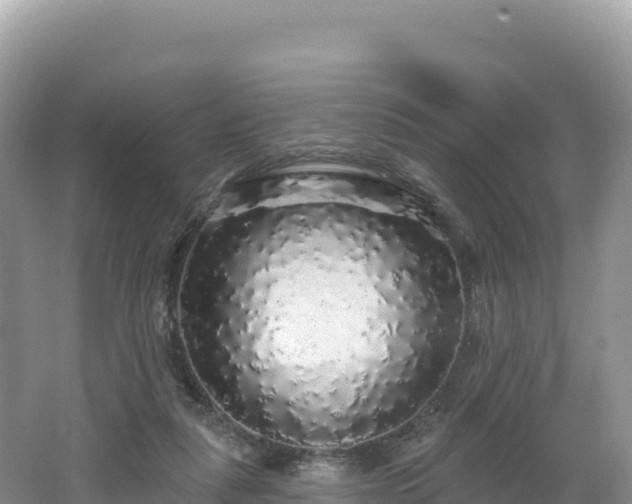 X0000062140259200512121249