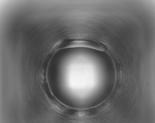 X0000062140264200512121249