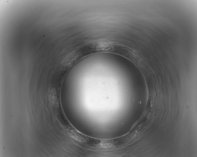 X0000062140270200512121249