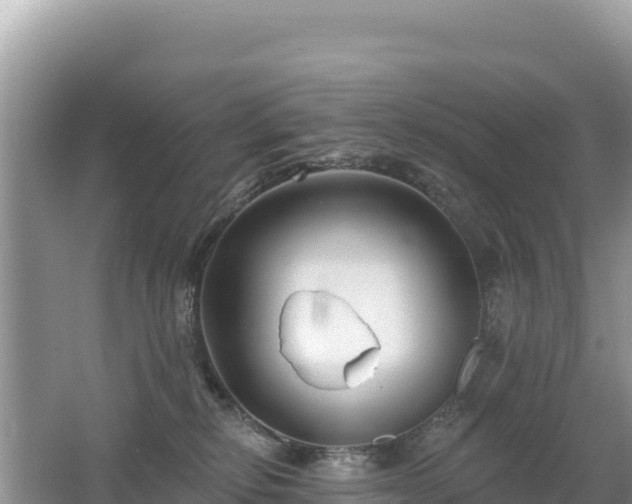 X0000062140278200512121249