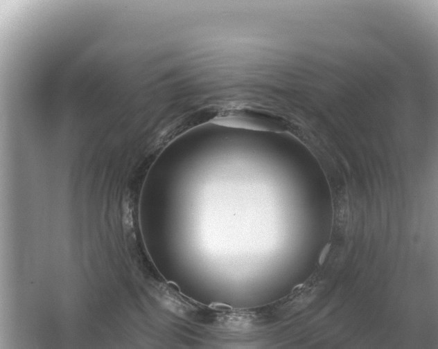 X0000062140282200512121249