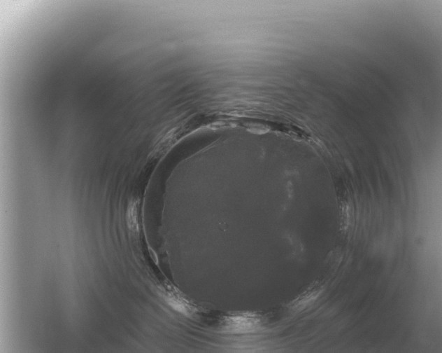 X0000062140286200512121249