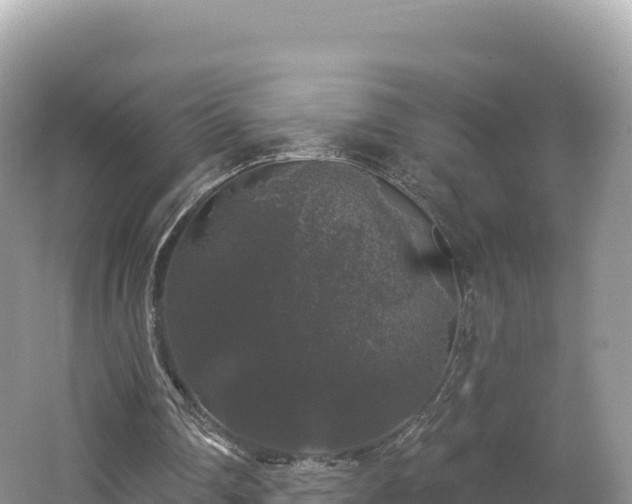 X0000062140290200512121249